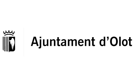 ajuntament olot